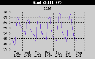 Wind Chill History